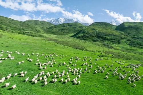 pgÂ齫ºúÁË(¹Ù·½)×îÐÂIOS/°²×¿°æ/ÊÖ»ú°æAPPÏÂÔØ